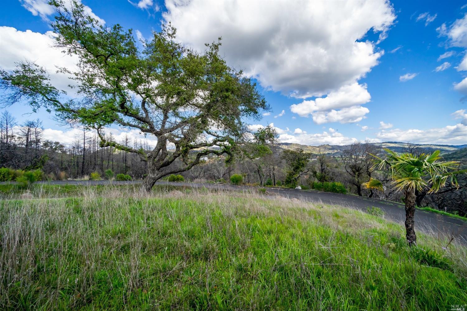 900 Quietwater Ridge Santa Rosa, CA 95404 - Photo 28 of 38 a view of a garden with a tree
