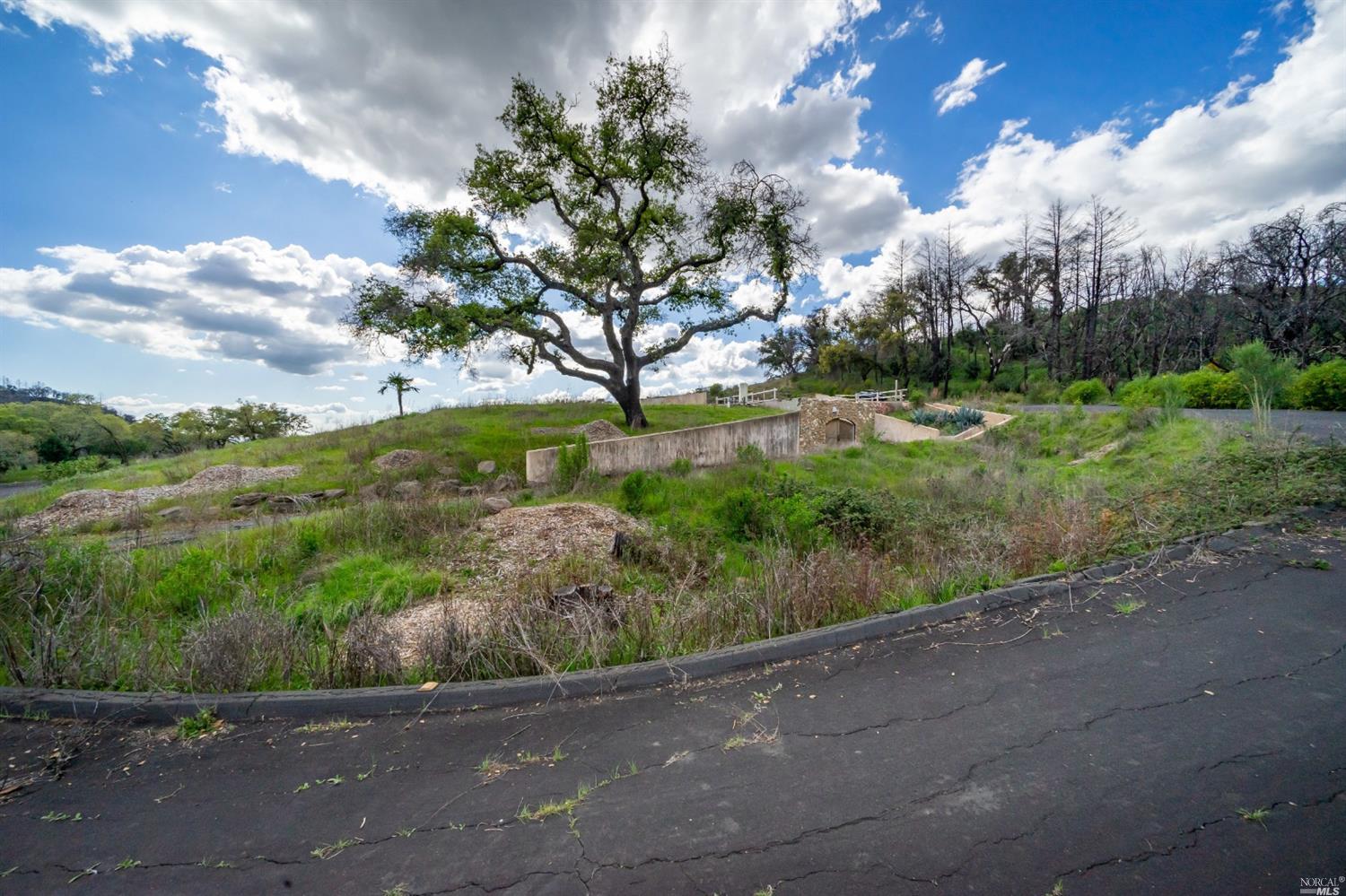 900 Quietwater Ridge Santa Rosa, CA 95404 - Photo 33 of 38 a view of a yard with an trees