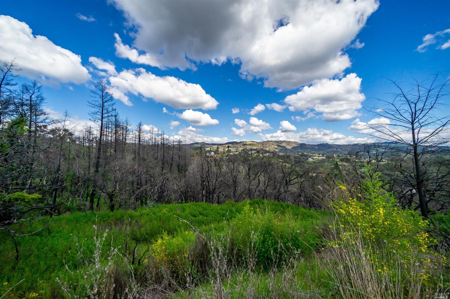 900 Quietwater Ridge Santa Rosa, CA 95404 - Photo 34 of 38 a view of a yard