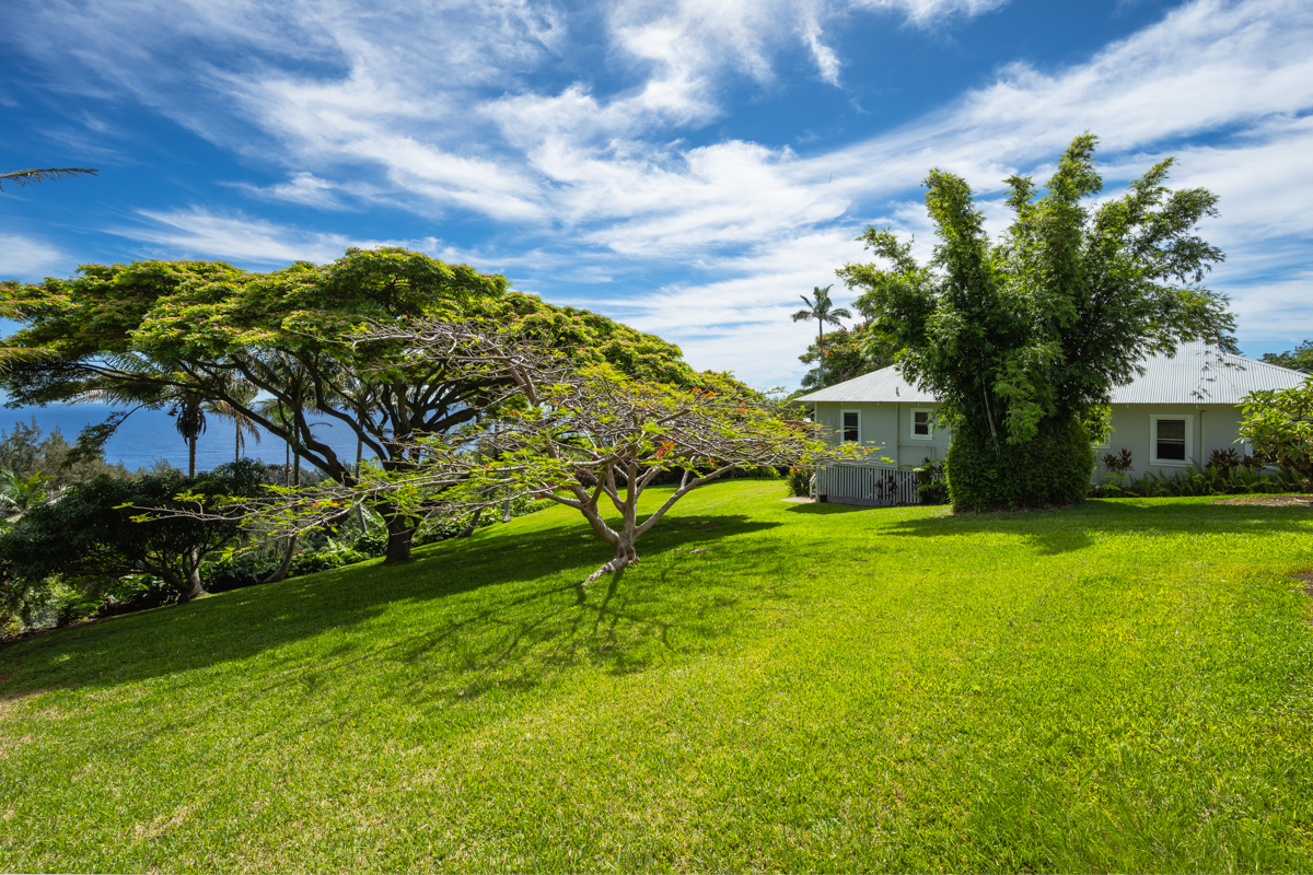 44-641 Hoolauna Loop Honokaa, HI 96727 - Photo 26 of 29
