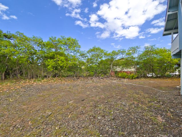 a view of a yard with plants and trees