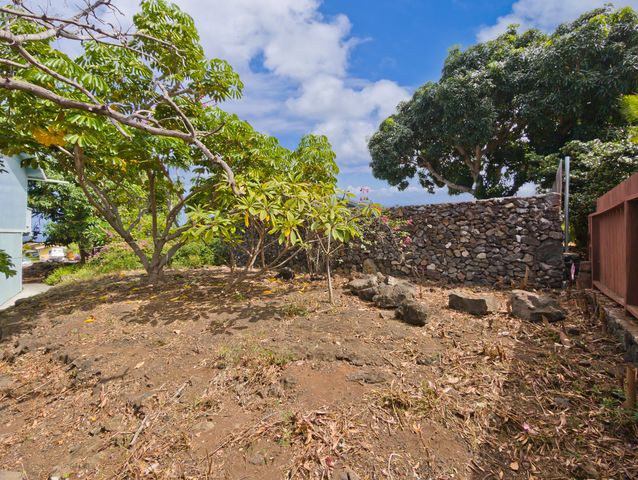 a backyard of a house with lots of green space