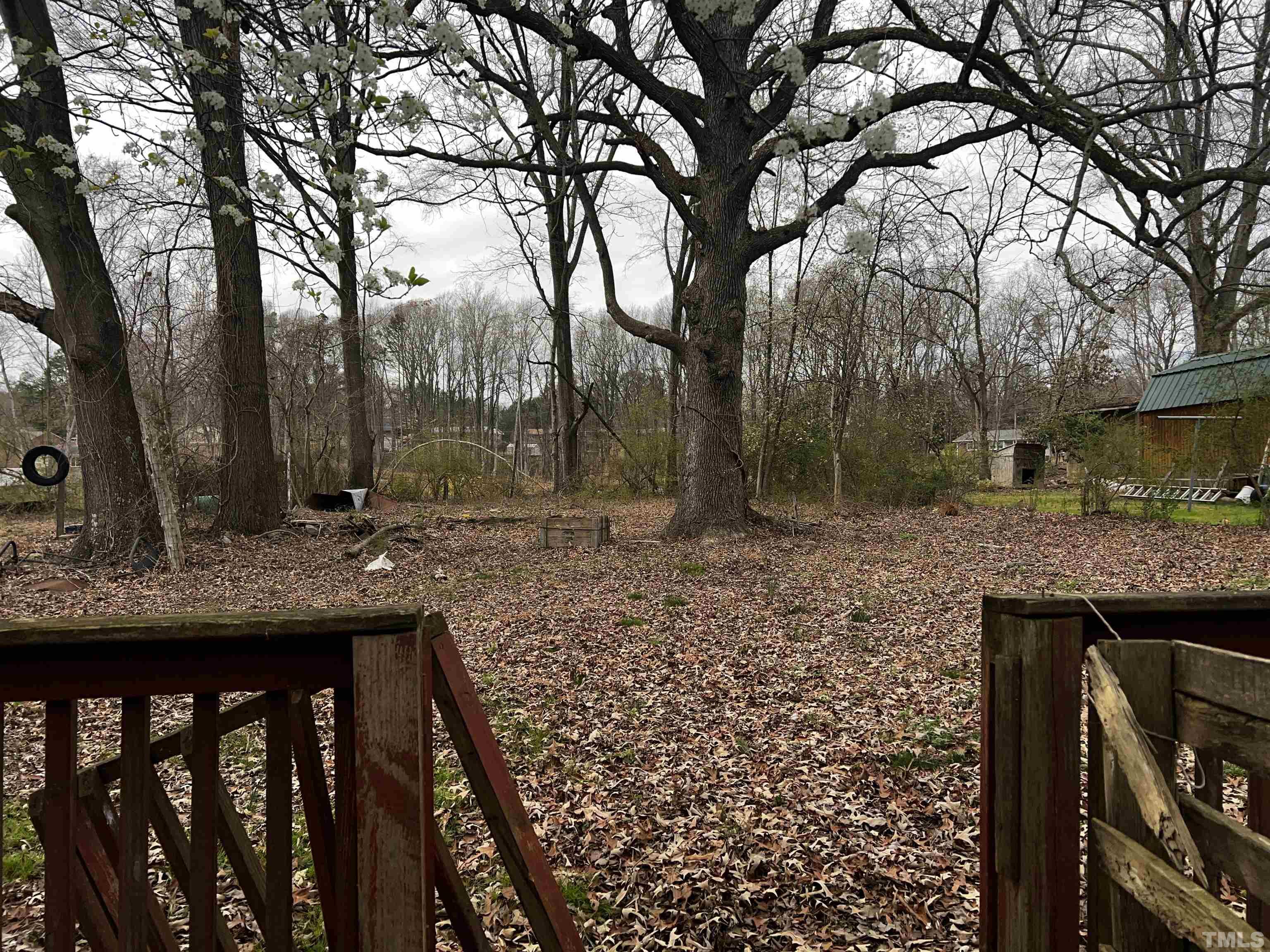 1259 Pointer Street Roxboro, NC 27573 - Photo 30 of 47 a view of a backyard with large trees