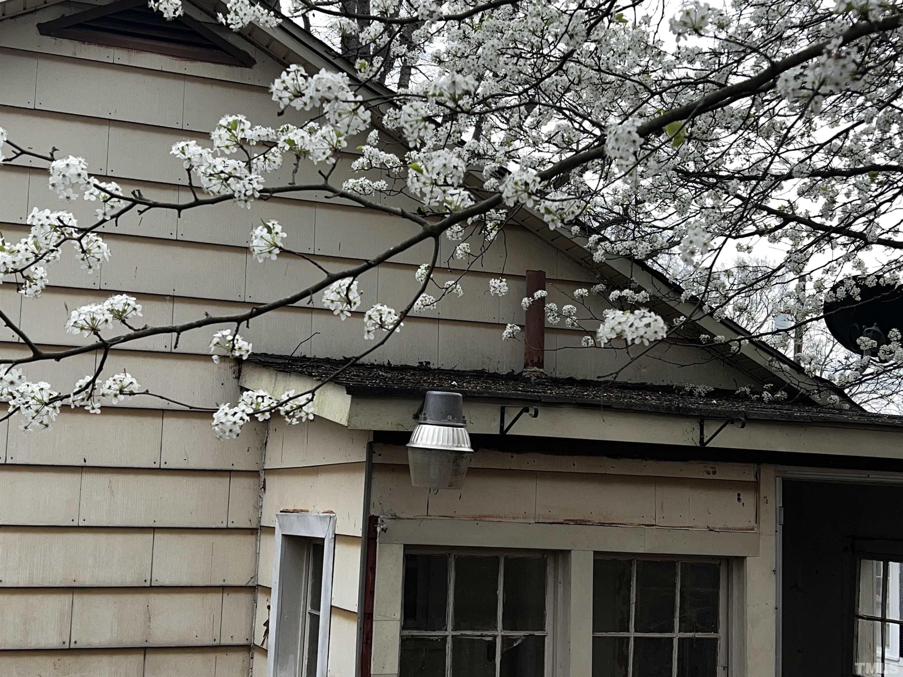 1259 Pointer Street Roxboro, NC 27573 - Photo 34 of 47 a view of a house with a tree