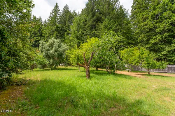 a view of an outdoor space and a yard