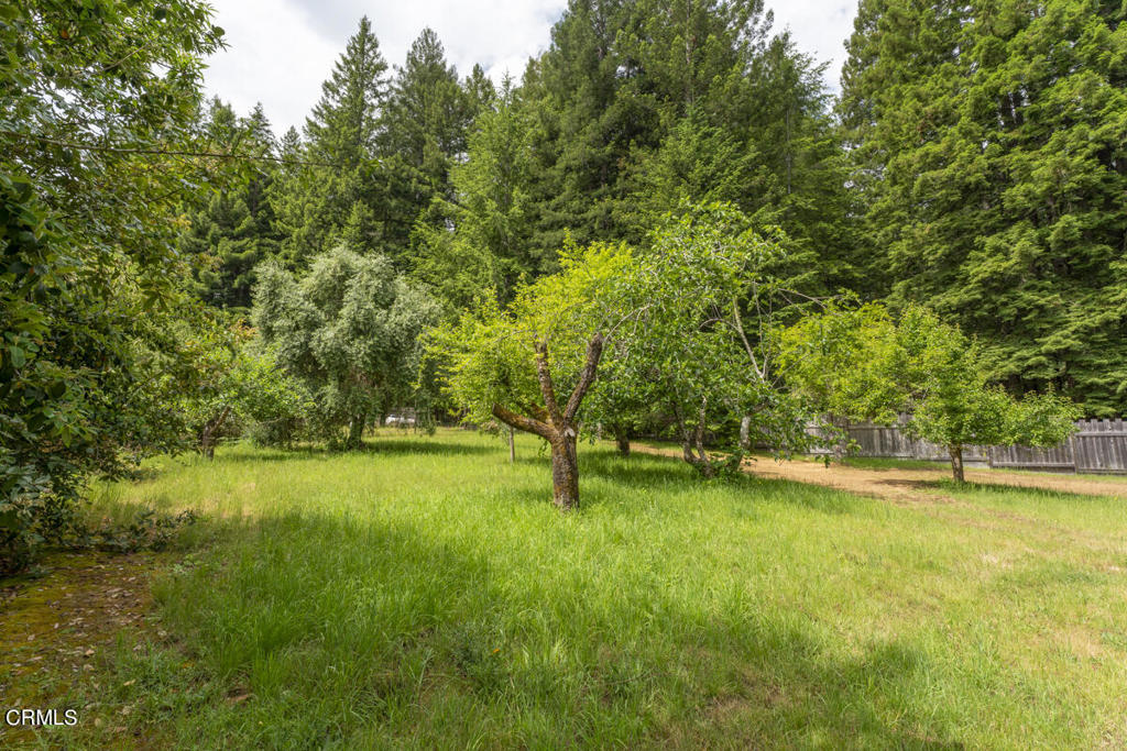 14480 Docker Hill Road Comptche, CA 95427 - Photo 15 of 27 a view of an outdoor space and a yard