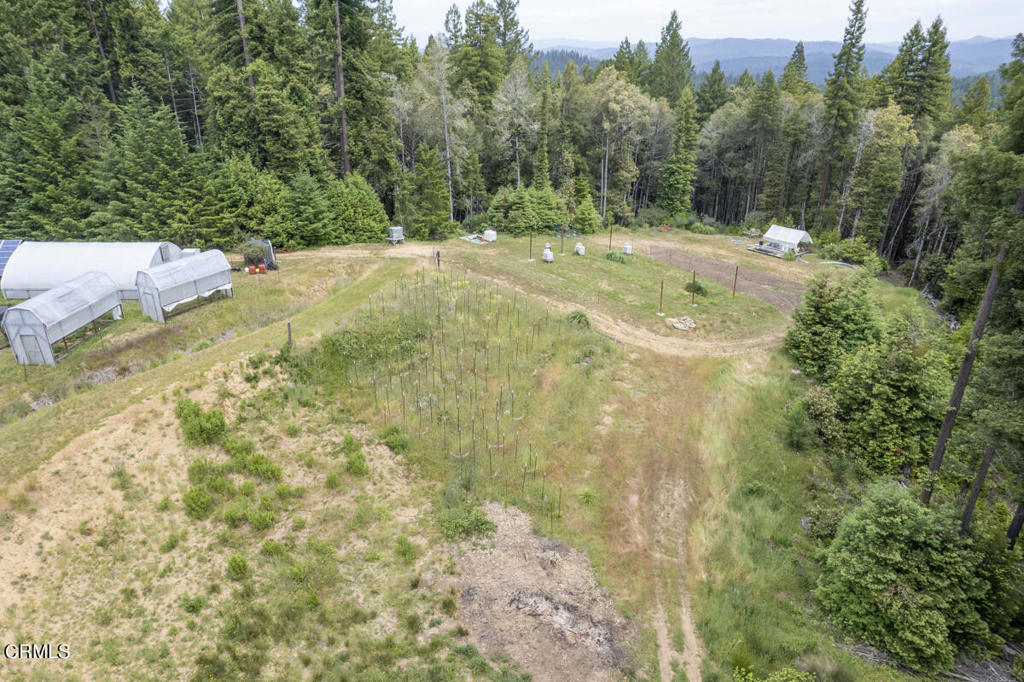 14480 Docker Hill Road Comptche, CA 95427 - Photo 21 of 27 a view of a yard