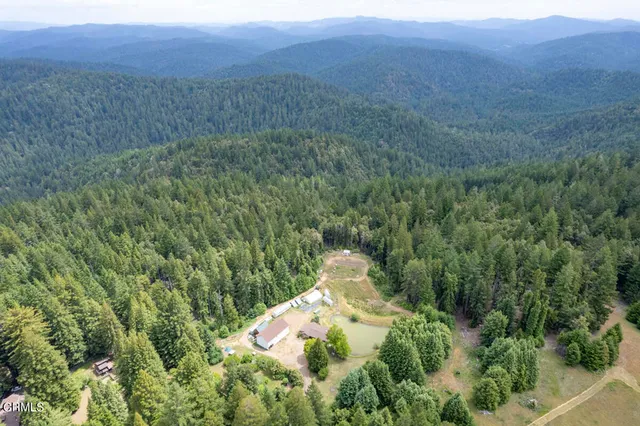 a view of a lush green field