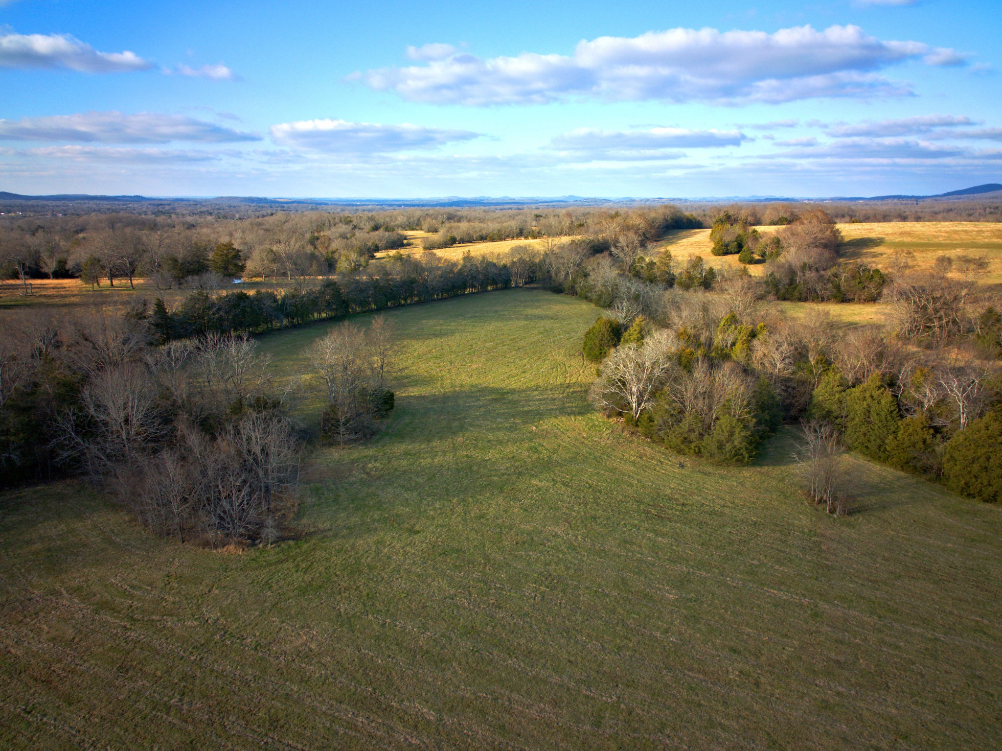 5 Ben Green Road Lebanon, TN 37090 - Photo 14 of 17