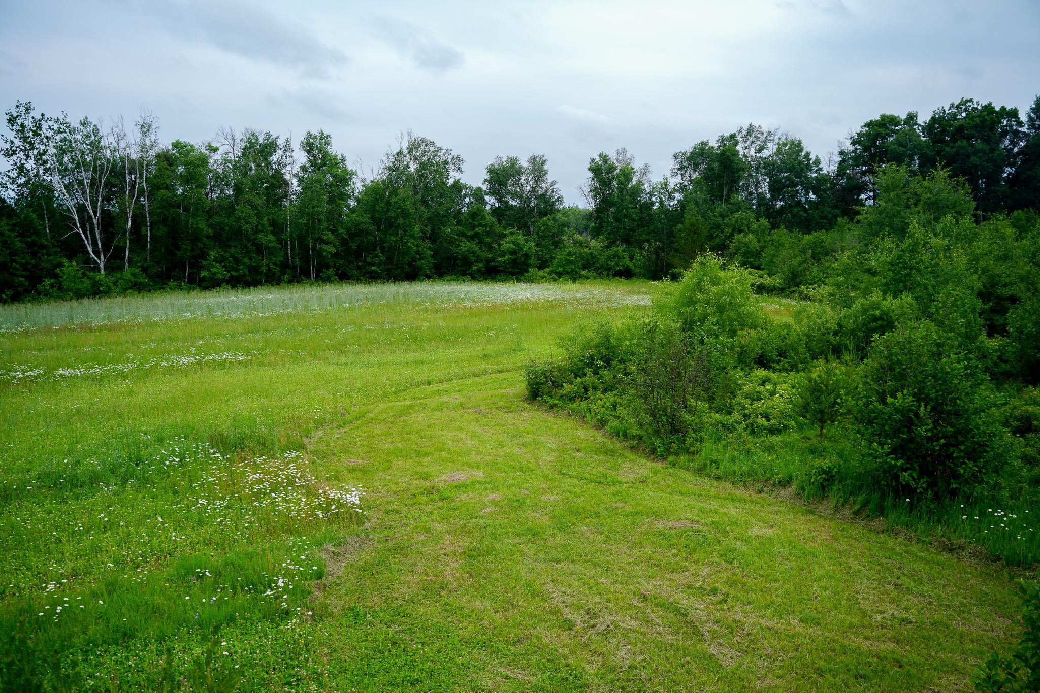 25820 County Road 26 Sebeka, MN 56477 - Photo 42 of 103
