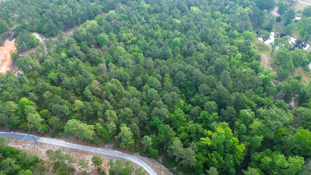 0 Mt Zion Road, Unit 5 Trenton, SC 29847 - Photo 9 of 26