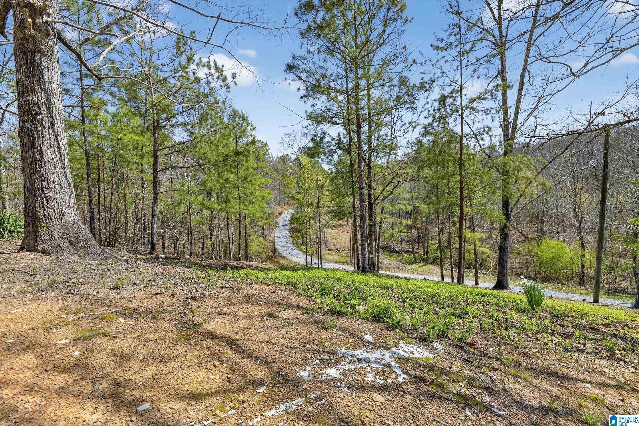 355 Pine Ridge Road Wellington, AL 36279 - Photo 33 of 36