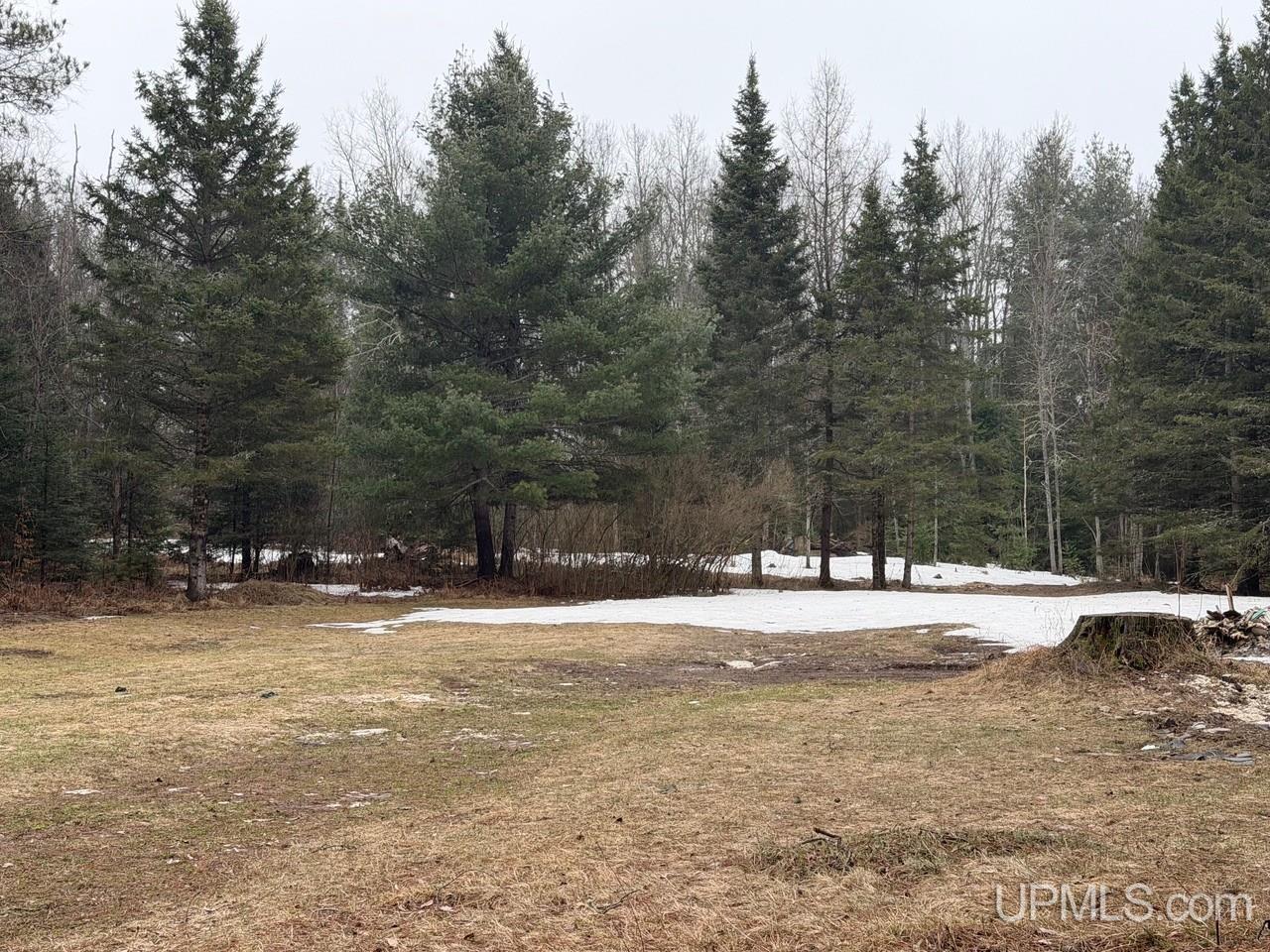 Tbd Carbis Road Iron Mountain, MI 49801 - Photo 1 of 1