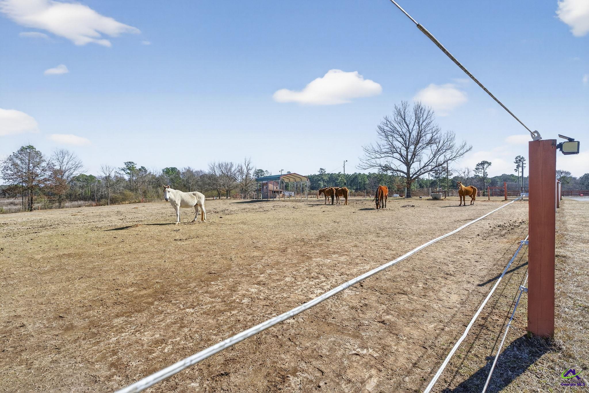 4764 River Road Fort Valley, GA 31030 - Photo 61 of 100