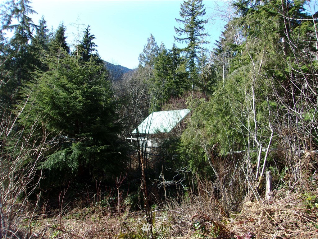 2575 Duckabush Road Brinnon, WA 98320 - Photo 8 of 12 Gallery Image 8
