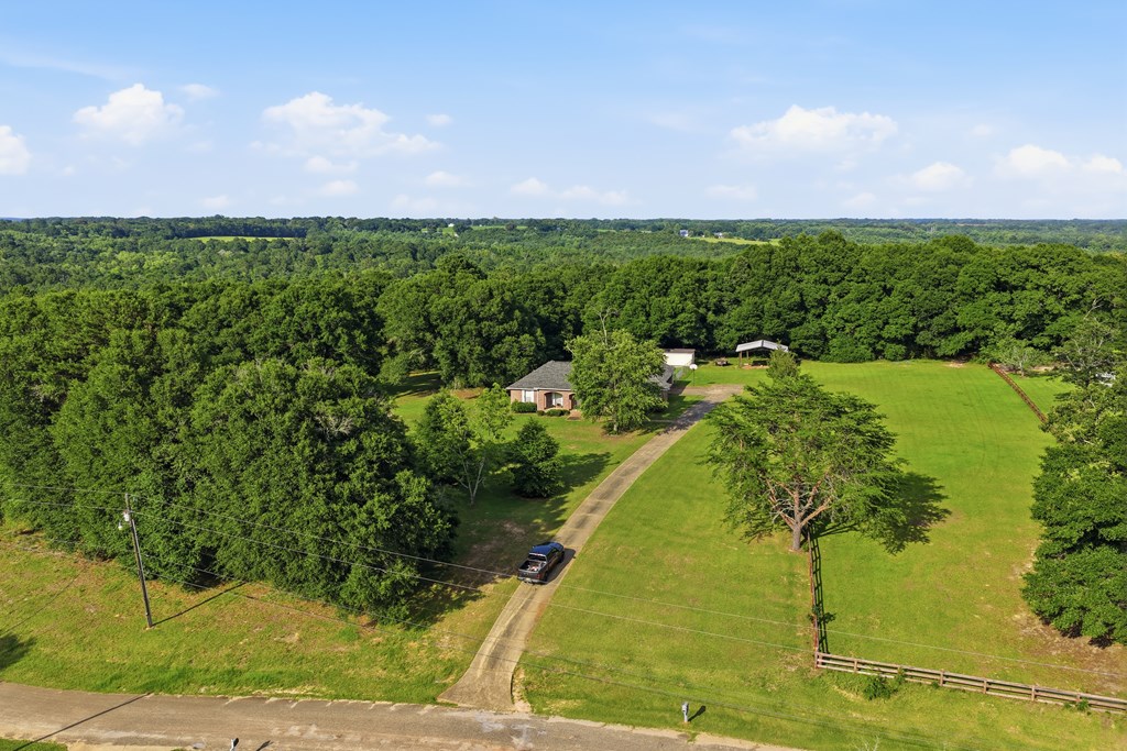 344 Hidden Springs Road Midland City, AL 36350 - Photo 56 of 64