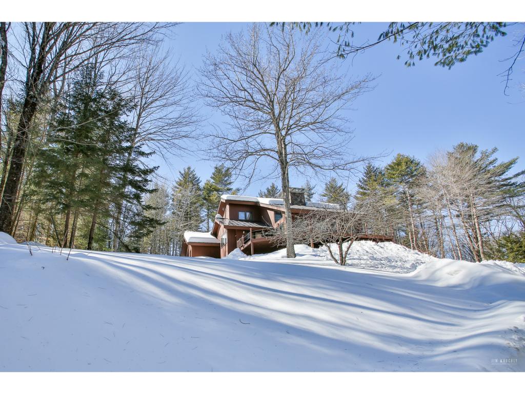 741 Gale Meadows Road Jamaica, VT 05155 - Photo 8 of 30 Gallery Image 8