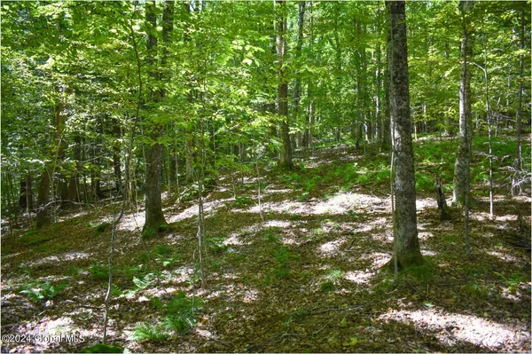 $68,900 | 98 Carriage Knoll Road, Chestertown, NY 12817