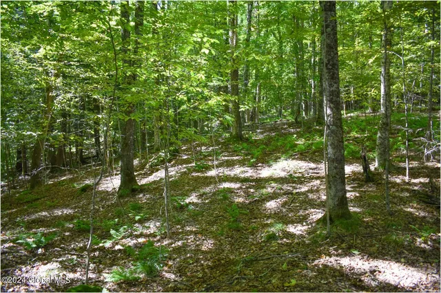 $68,900 | 98 Carriage Knoll Road, Chestertown, NY 12817