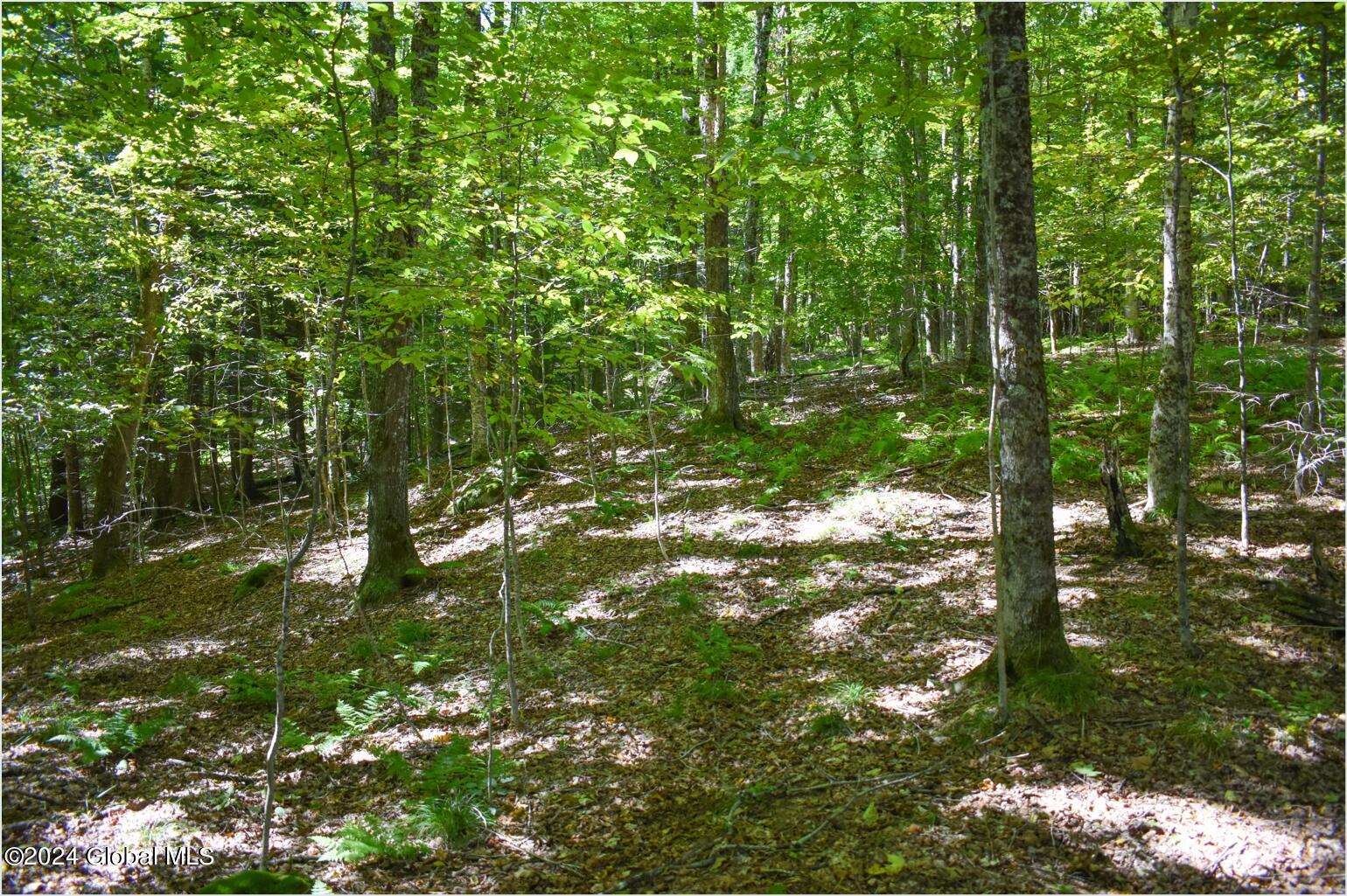 98 Carriage Knoll Road Chestertown, NY 12817 - Photo 11 of 20 98c