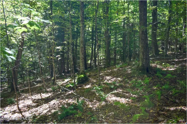 $68,900 | 98 Carriage Knoll Road, Chestertown, NY 12817