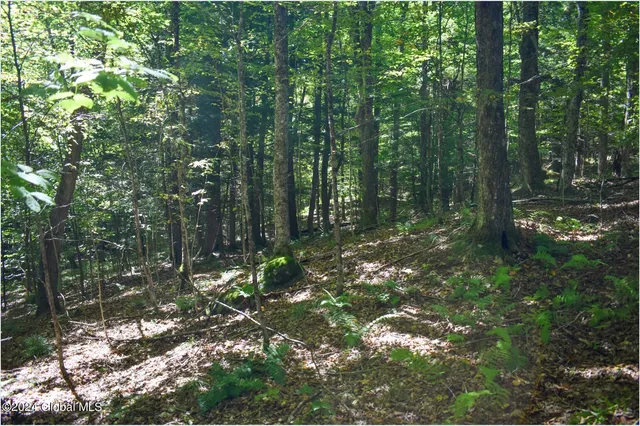 $68,900 | 98 Carriage Knoll Road, Chestertown, NY 12817