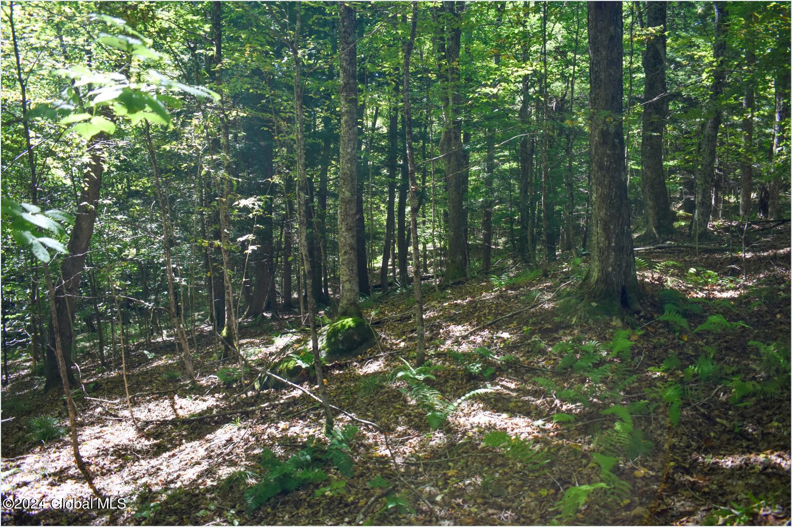 98 Carriage Knoll Road Chestertown, NY 12817 - Photo 12 of 20 98d