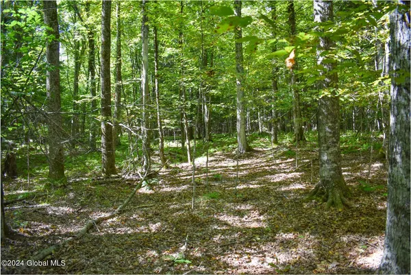 $68,900 | 98 Carriage Knoll Road, Chestertown, NY 12817