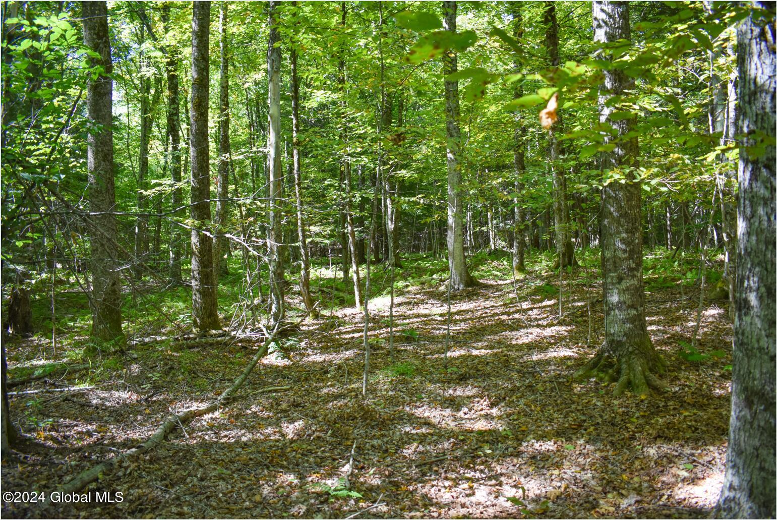 98 Carriage Knoll Road Chestertown, NY 12817 - Photo 13 of 20 98e