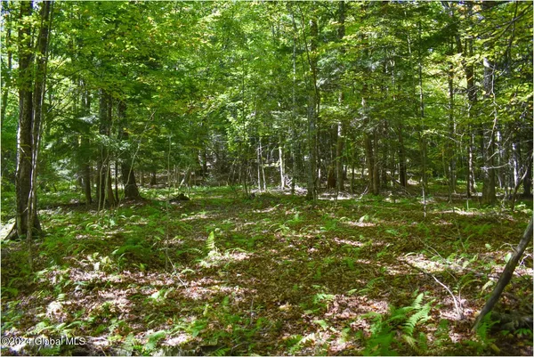 $68,900 | 98 Carriage Knoll Road, Chestertown, NY 12817