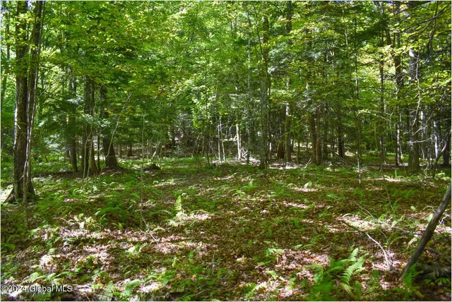 $68,900 | 98 Carriage Knoll Road, Chestertown, NY 12817