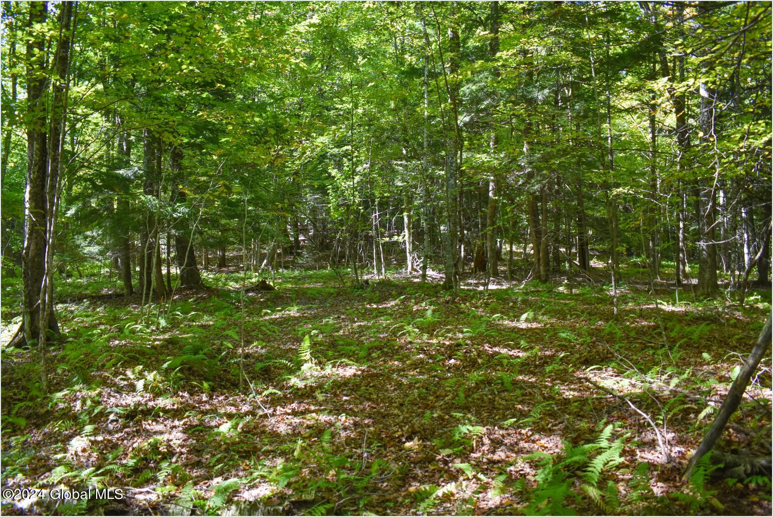 98 Carriage Knoll Road Chestertown, NY 12817 - Photo 14 of 20 98f