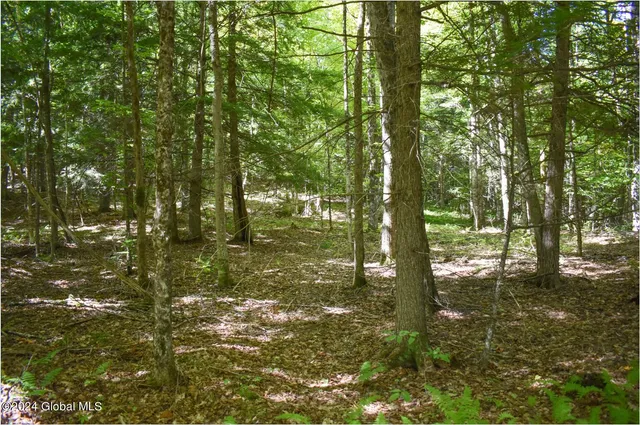 $68,900 | 98 Carriage Knoll Road, Chestertown, NY 12817