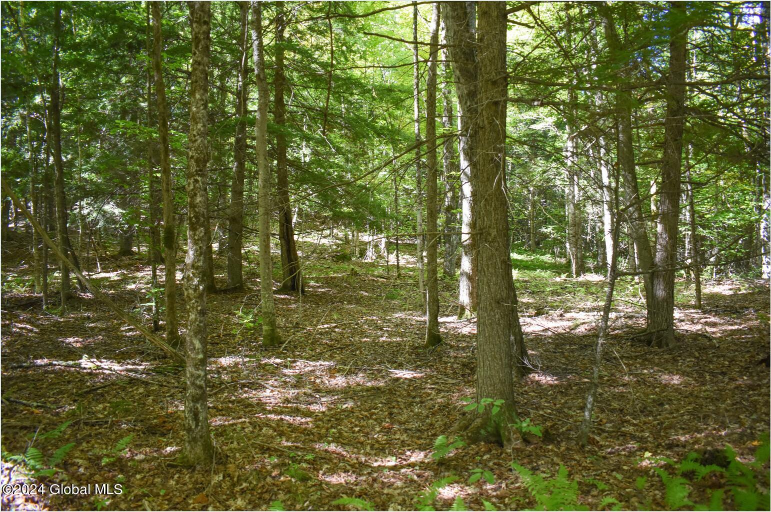 98 Carriage Knoll Road Chestertown, NY 12817 - Photo 7 of 20 98h