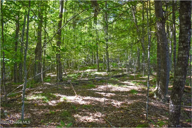 $68,900 | 98 Carriage Knoll Road, Chestertown, NY 12817