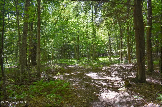 $68,900 | 98 Carriage Knoll Road, Chestertown, NY 12817