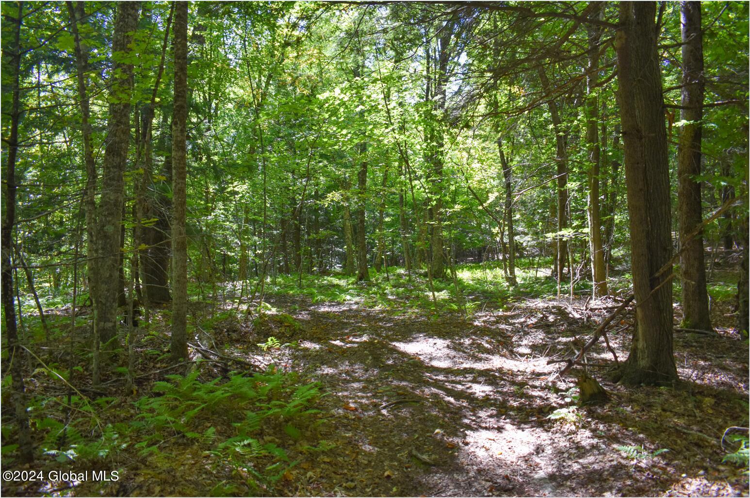 98 Carriage Knoll Road Chestertown, NY 12817 - Photo 9 of 20 98g