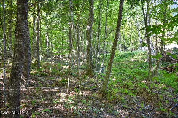 $68,900 | 98 Carriage Knoll Road, Chestertown, NY 12817