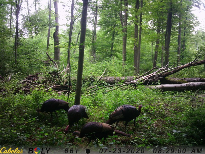 0 Black Hl Road Franklin, PA 16323 - Photo 13 of 29