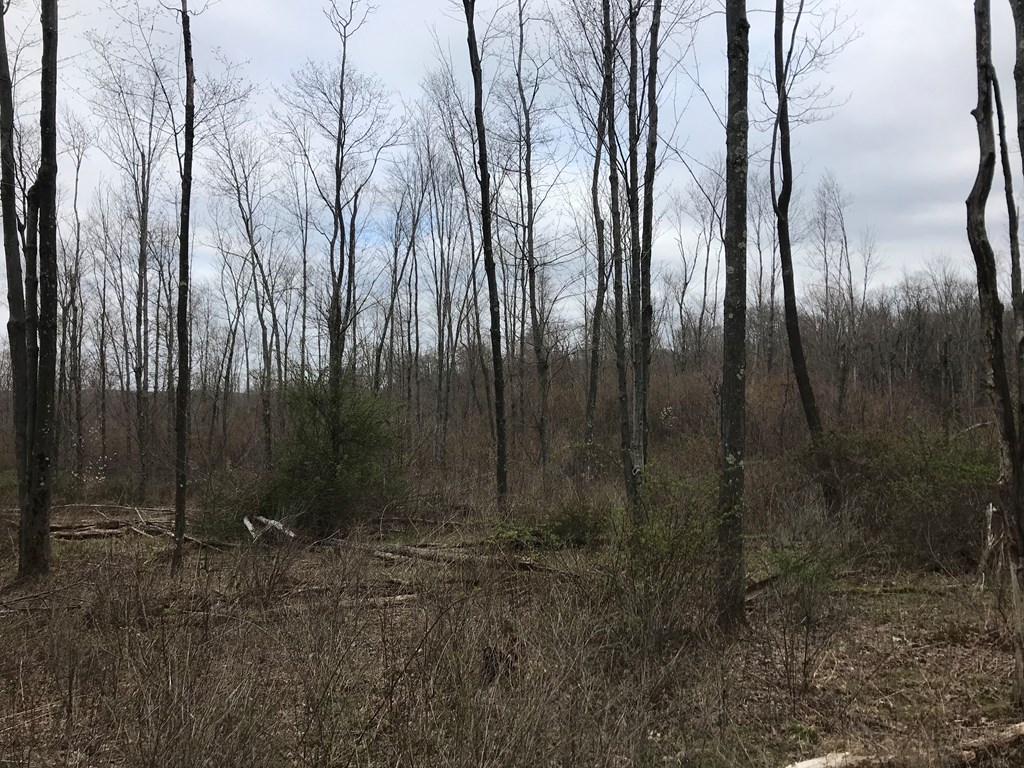 0 Black Hl Road Franklin, PA 16323 - Photo 19 of 29