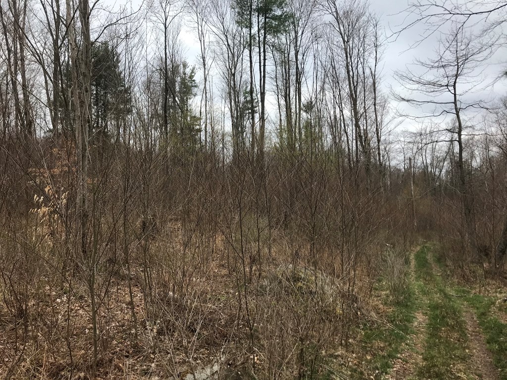 0 Black Hl Road Franklin, PA 16323 - Photo 20 of 29