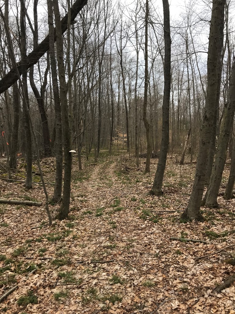 0 Black Hl Road Franklin, PA 16323 - Photo 21 of 29