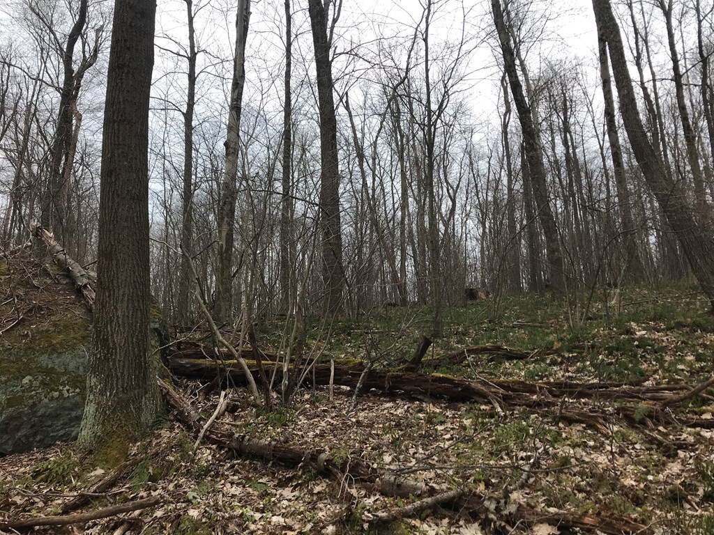 0 Black Hl Road Franklin, PA 16323 - Photo 22 of 29