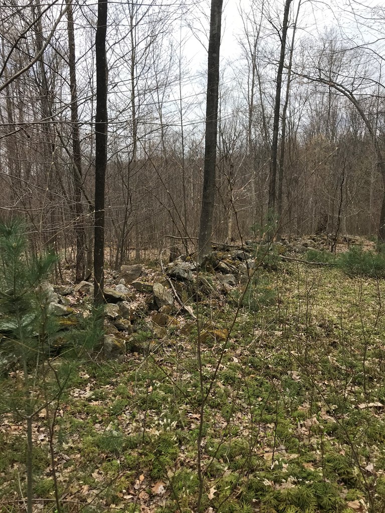 0 Black Hl Road Franklin, PA 16323 - Photo 7 of 29