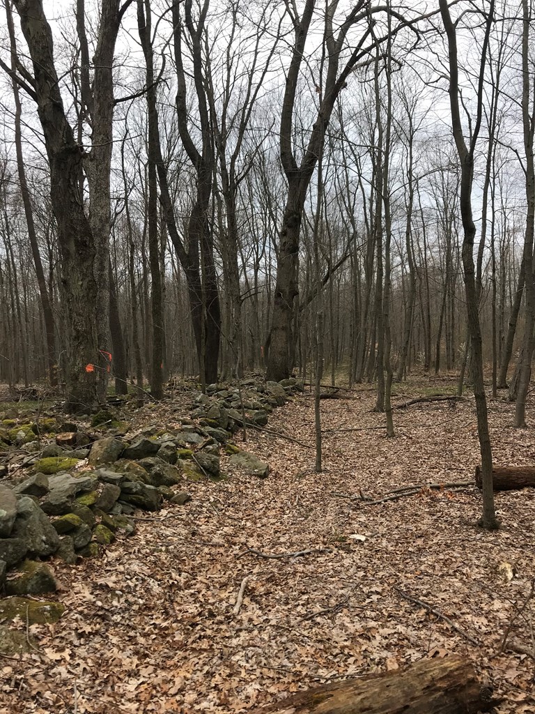 0 Black Hl Road Franklin, PA 16323 - Photo 8 of 29