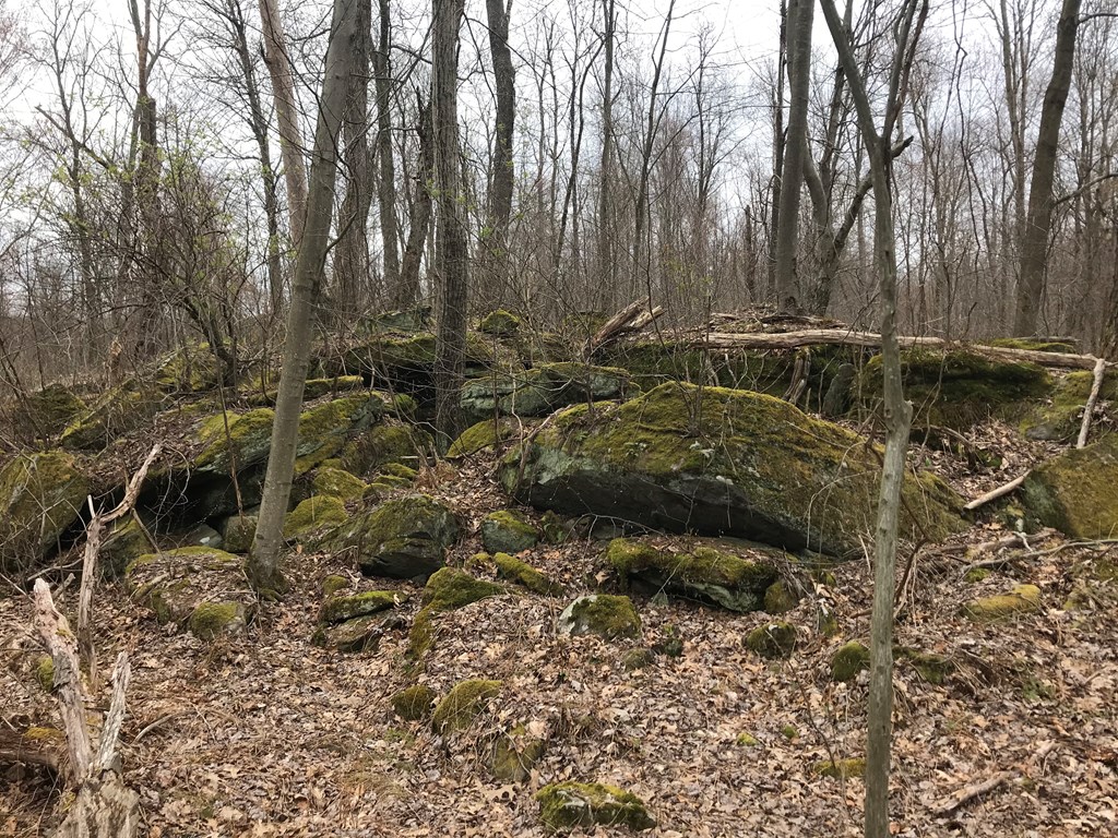 0 Black Hl Road Franklin, PA 16323 - Photo 9 of 29