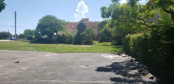 a view of a park with large trees