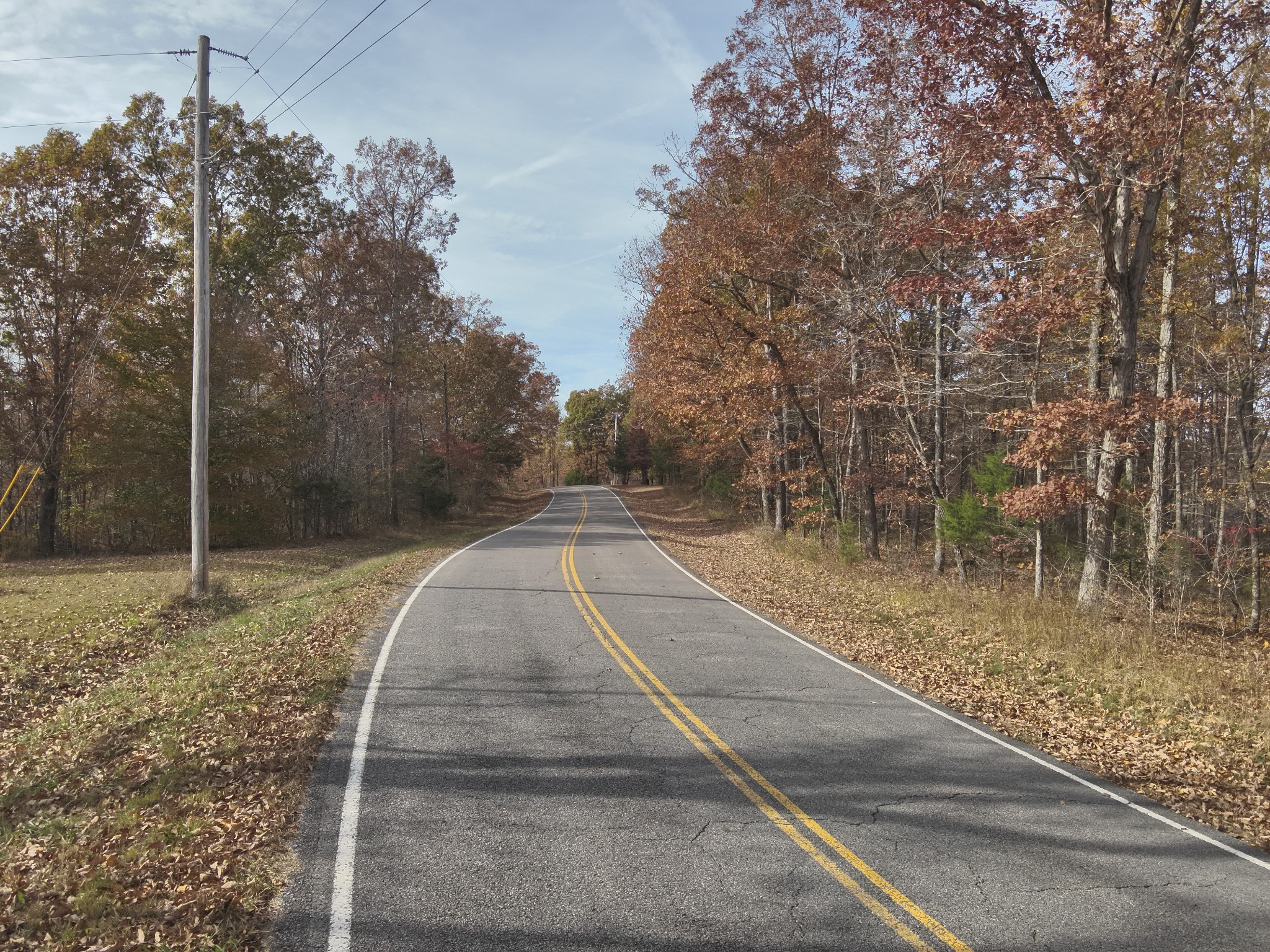 2383 Airport Ridge Road Linden, TN 37096 - Photo 14 of 64 a view of a yard with trees