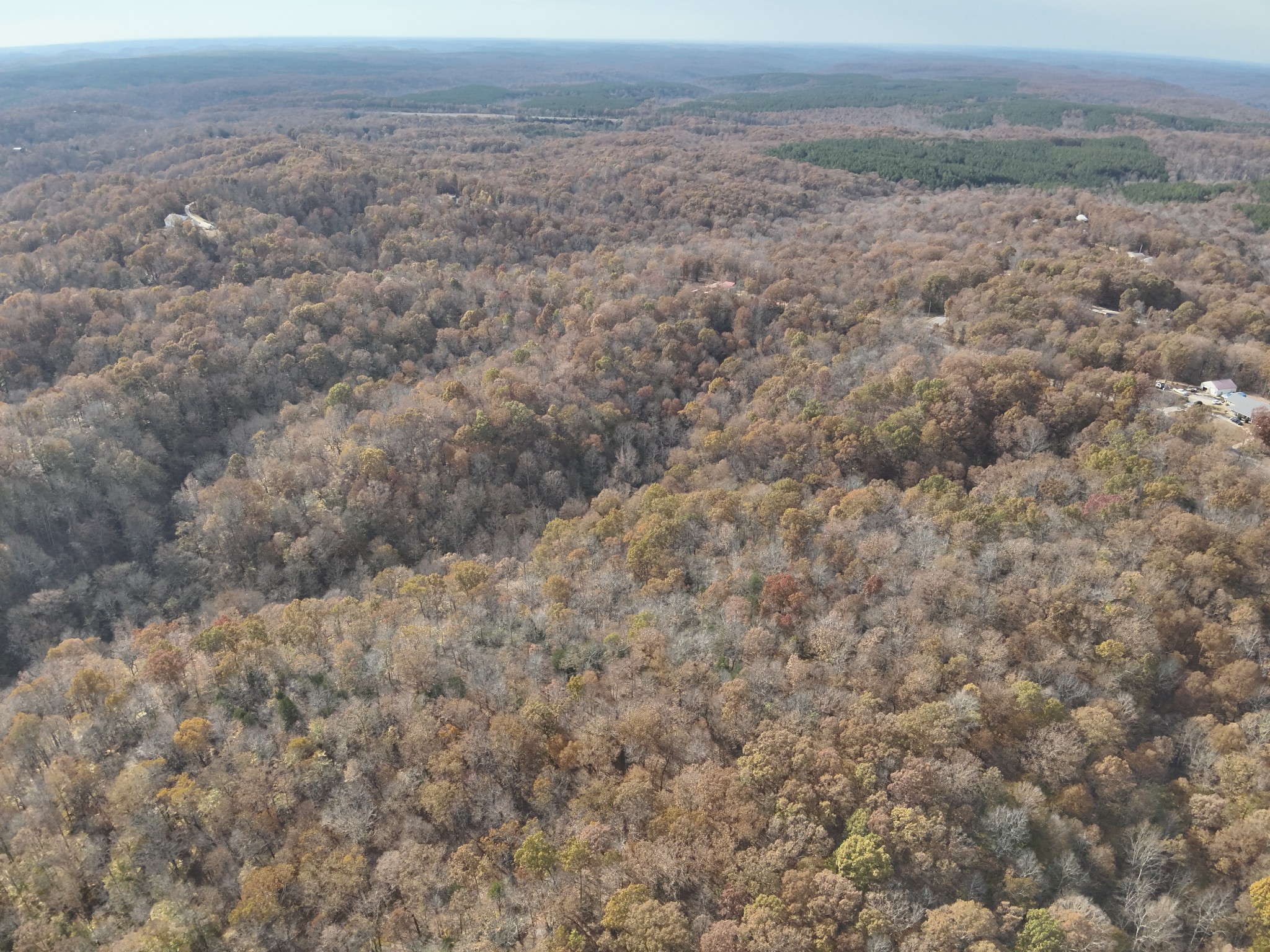 2383 Airport Ridge Road Linden, TN 37096 - Photo 17 of 64 a view of a field