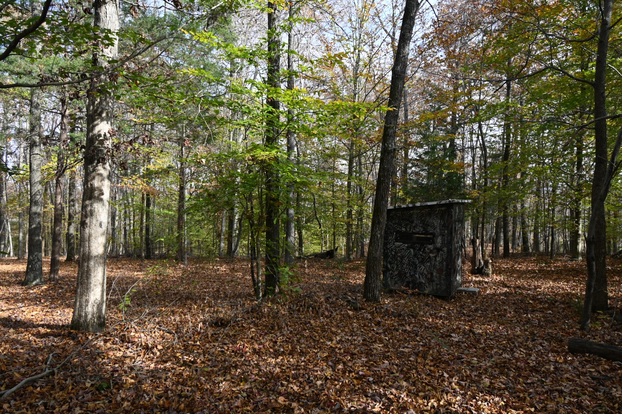 2383 Airport Ridge Road Linden, TN 37096 - Photo 28 of 64